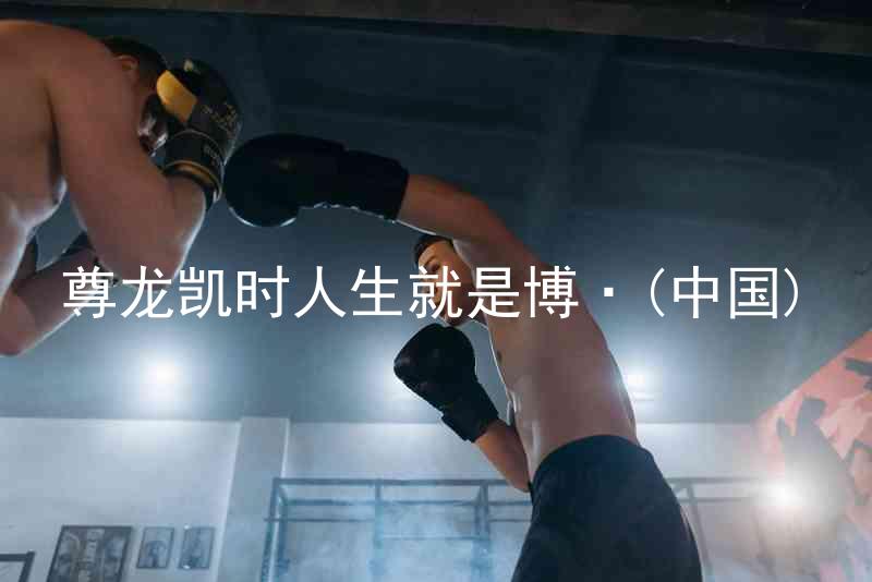 尊龙凯时人生就是博·(中国)